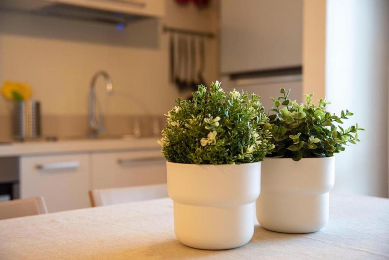 Blu Sun Apartment In Complesso Riva Del Sole ジョヴィナッツォ エクステリア 写真